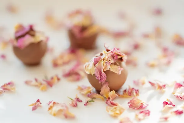 Kasino Chilli Spins Android/iOS aplikace